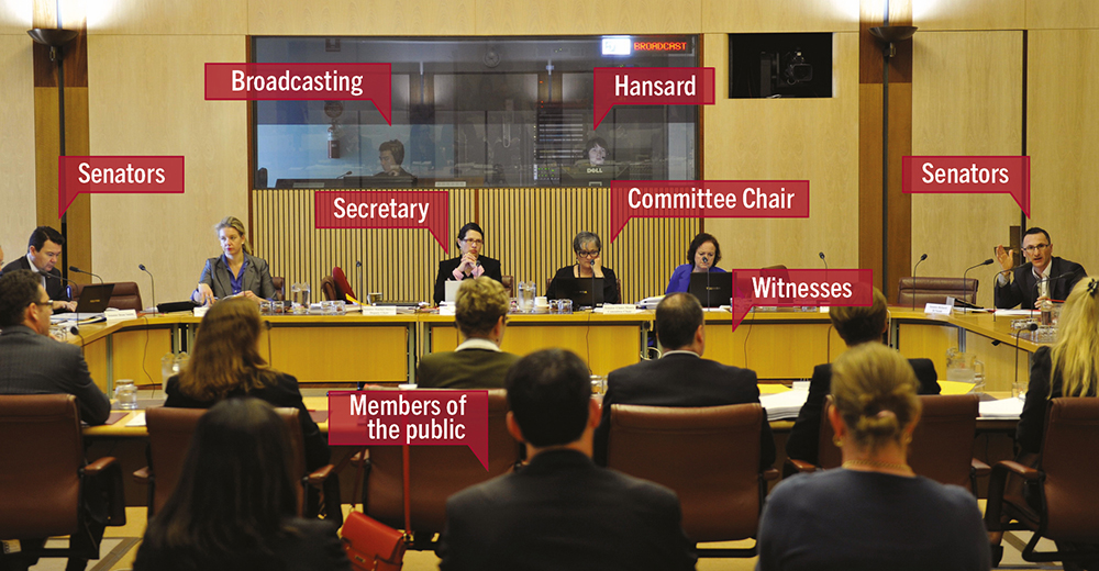 Committee hearing with participants labelled