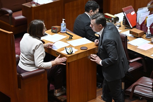The Clerk of the Senate talking to the President, the Hon Sue Lines