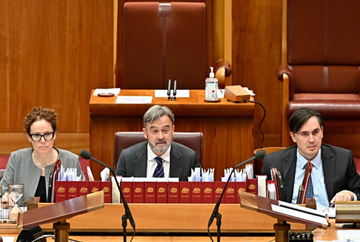 Senator Andrew McLachlan CSC, Deputy President of the  Senate, presiding during committee of the whole, supported  by clerks who provide procedural advice