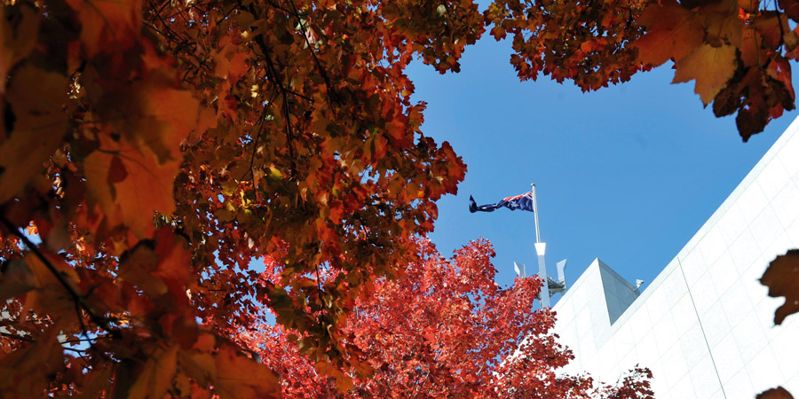 View of the Australian Parliament House flag through red autumn leaves of maples in the courtyards