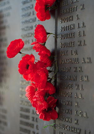 Red poppies at the Australian War Memorial
