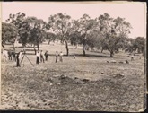 George Fuller taking the first sight in the preliminary contour survey, Camp Hill, 1909 