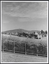 The logger blockade of Parliament House, Canberra, January 1995-some of the trucks in the forecourt 