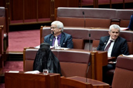 Pauline Hanson wears a burqa into Question Time