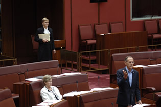 The Serjeant-at-Arms waiting at the bar of the Senate with a message (Photo courtesy of AUSPIC)