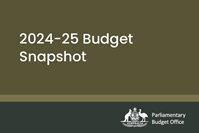 carousel photo 2024-25 Budget Snapshot