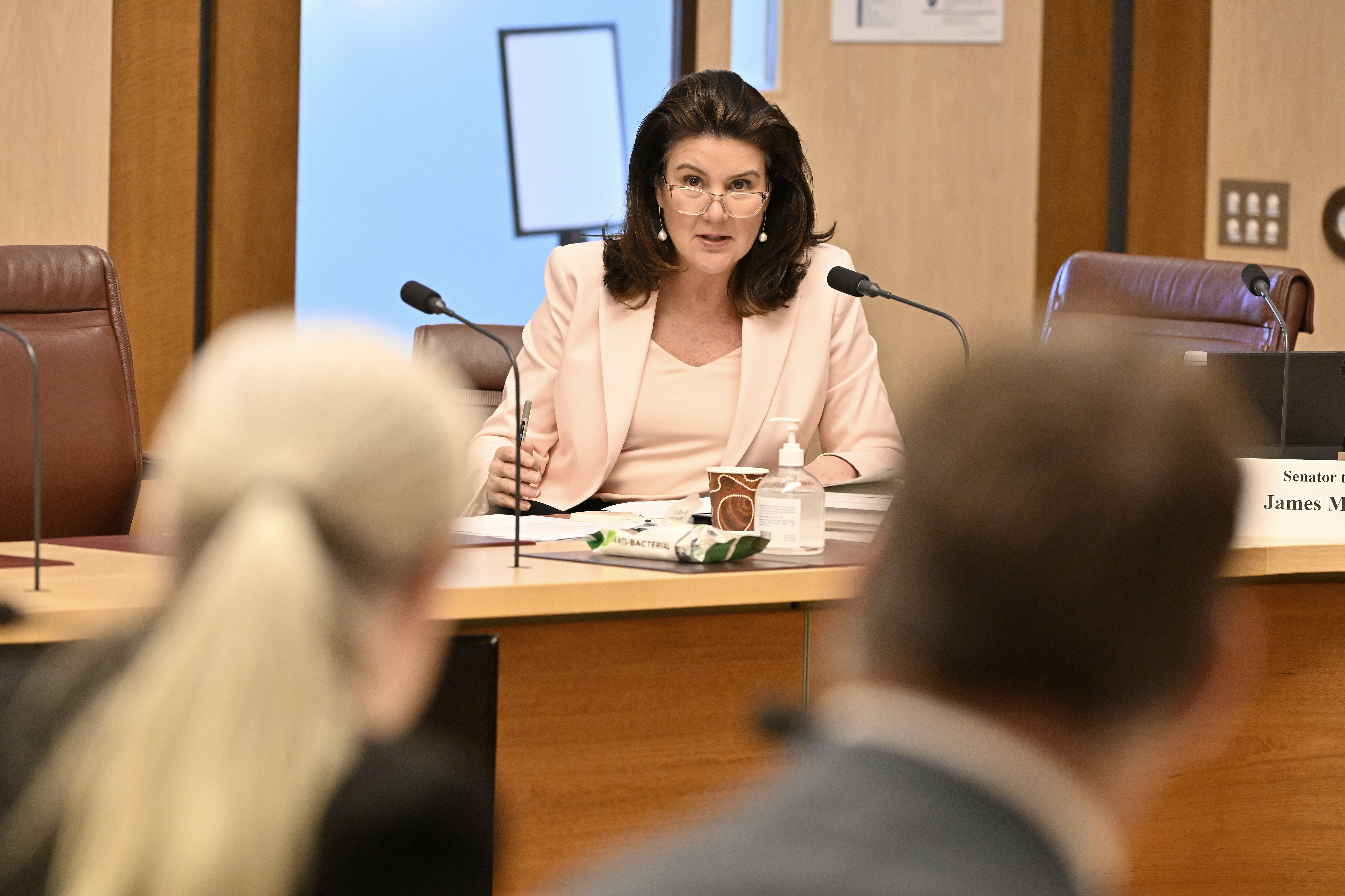 Senator Hume asking questions in front of a microphone during a committee hearing