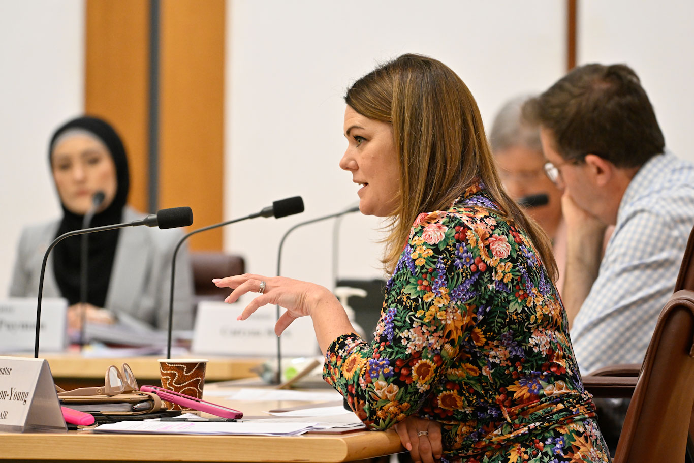 Finance and Public Administration Legislation Committee members, Senator The Hon. Penny Wong and Senator Katy Gallagher during the Additional estimates hearings in 2016