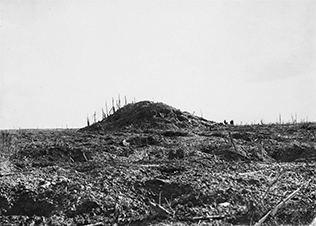 Text Box: Polygon Wood battlefield in the days after the Australian attack on 26 September 1917. Bartholomew Stubbs was killed leading his platoon during the battle, but his body was never recovered. AWM E00987.
