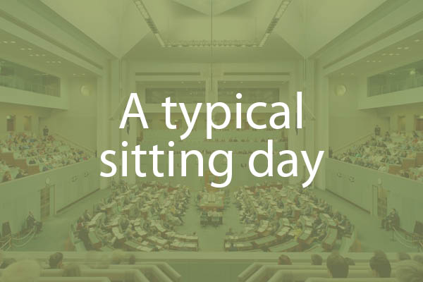 A typical sitting day