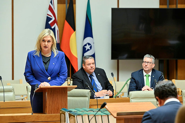 A Member speaking in the Federation Chamber