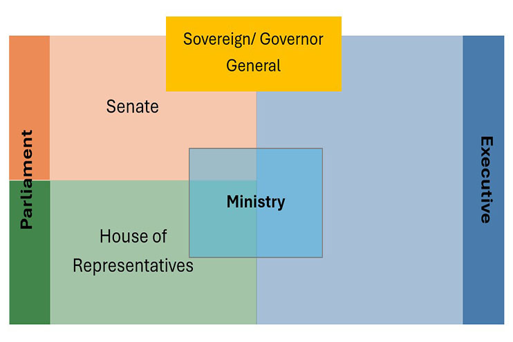 Diagram showing the relationship between the legislative and executive arms of government