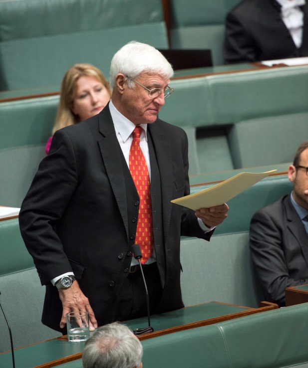 A private Member debating in the Chamber