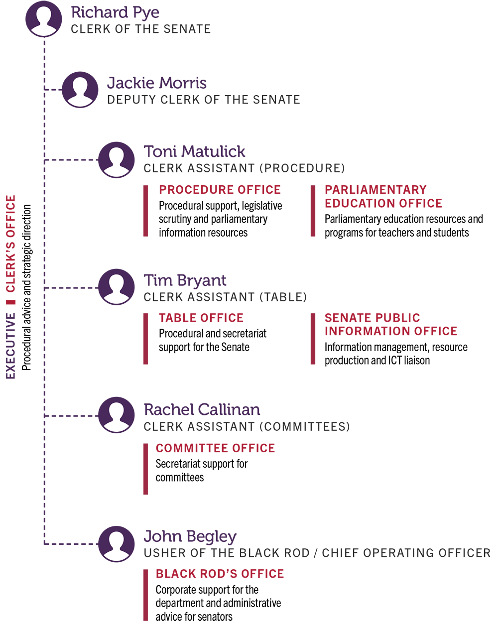 Diagram of the structure of the Dept. of the Senate
