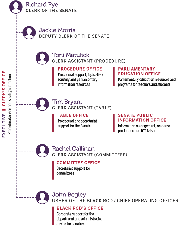 Diagram of the structure of the Dept. of the Senate