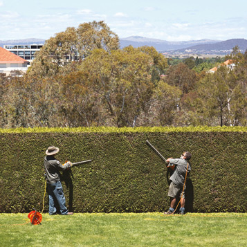 Parliamentary Gardeners Formal Garden