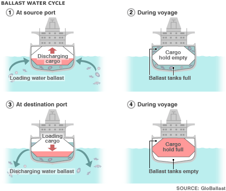 Figure 1: ballast water cycle