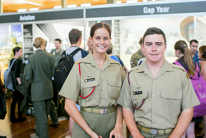 The ADF Gap Year: progress so far