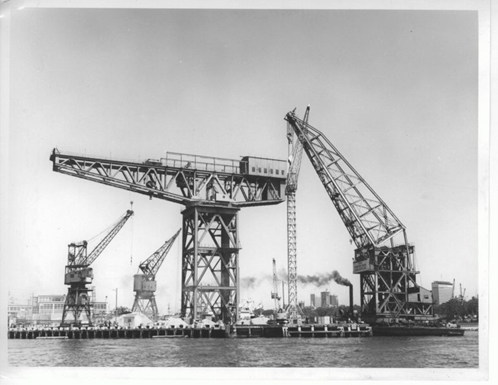 A black and white photo of a crane standing gracefully in the water.