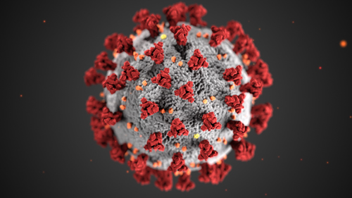 COVID-19 Economic response—delegation by the Director of Human Biosecurity