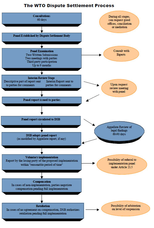 The World Trade Organisation dispute settlement process