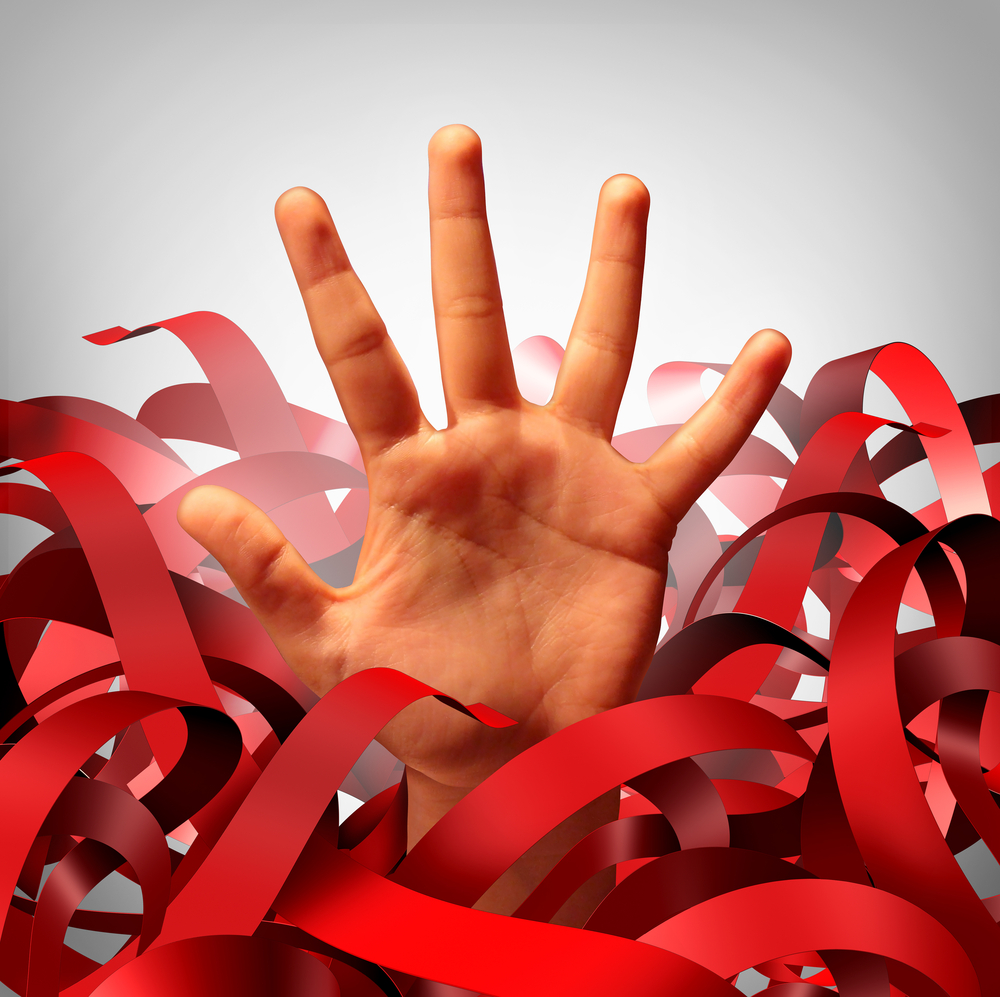 Reducing Red Tape in the public service 2: legislation