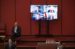 Screen in the Senate chamber showing Senators joining remotely