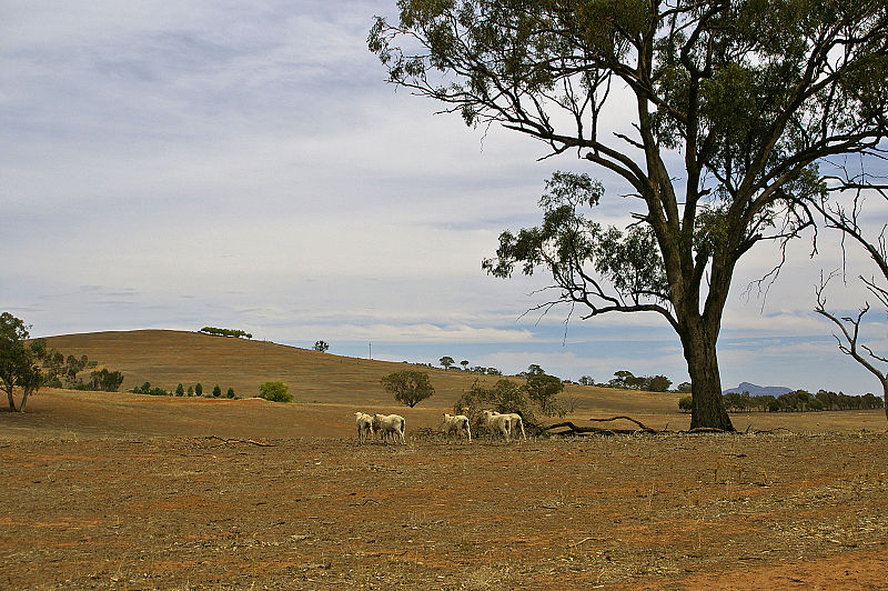 New Bill to extend the Farm Household Allowance