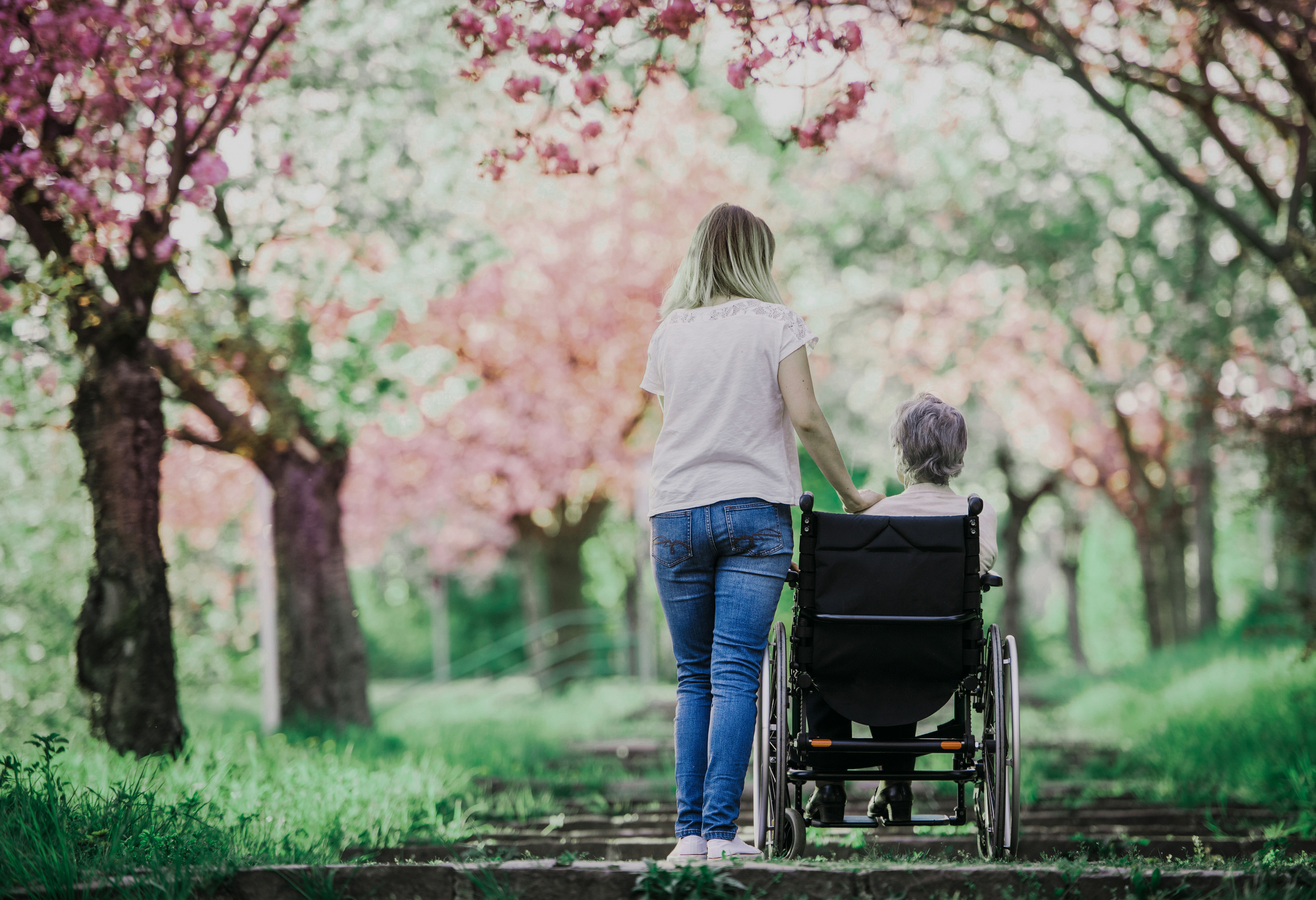 Middle aged woman and an older woman who is a wheelchair user in a park. 