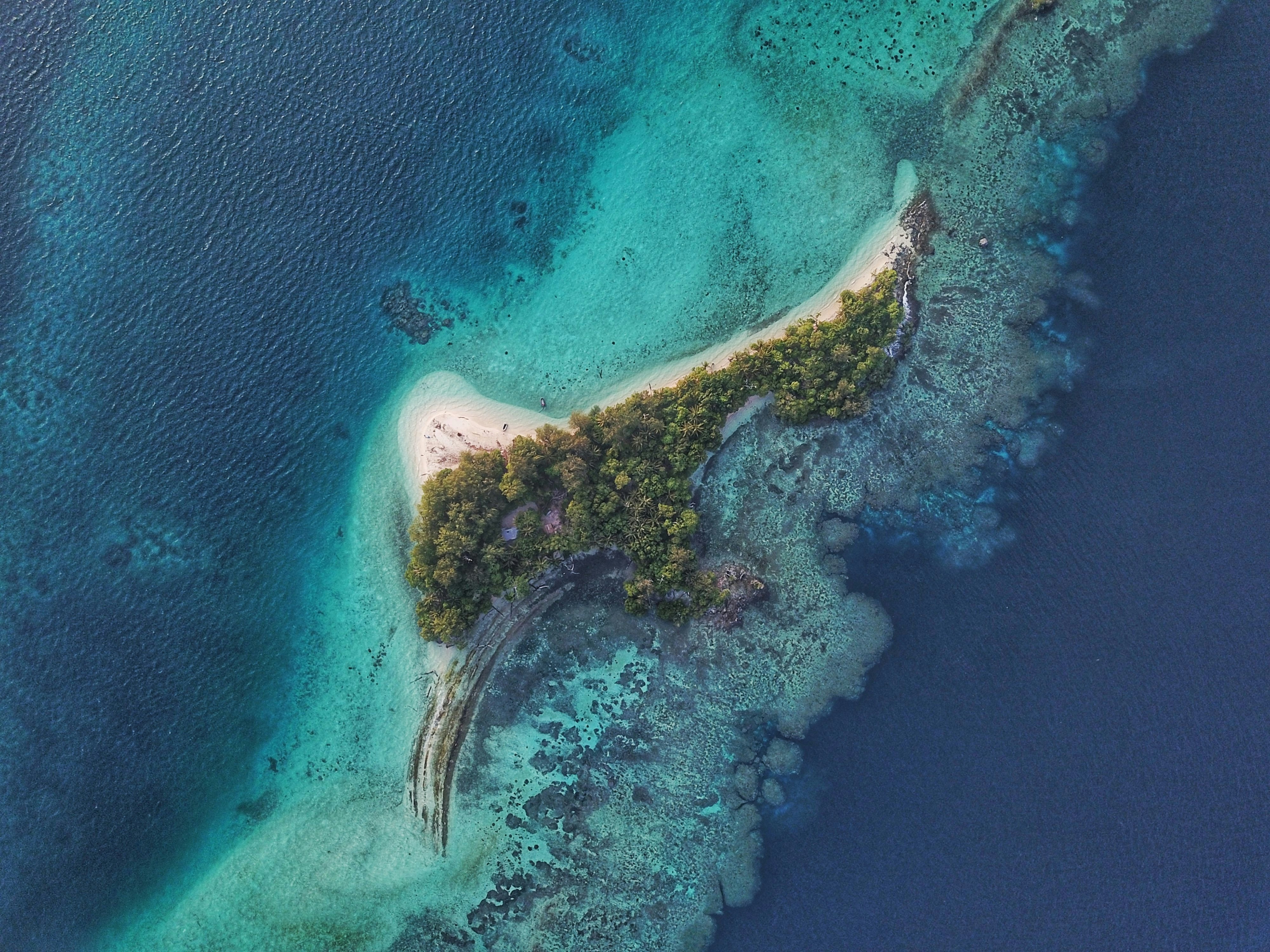 Top-down shot of an uninhabited island in the Solomon Islands covered in lush greenery. 