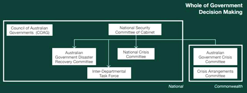 Figure 3 flowchart showing  key whole-of-government committees
