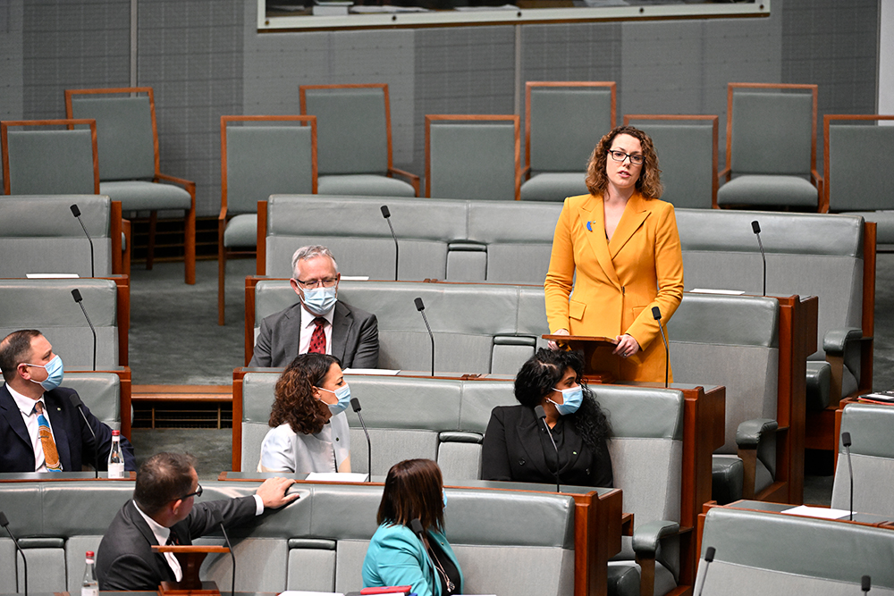 Territory Rights Bill under discussion, Image source: AUSPIC