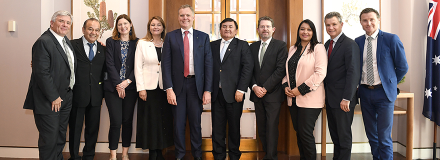 Chilean delegation with the Speaker and Members of the House