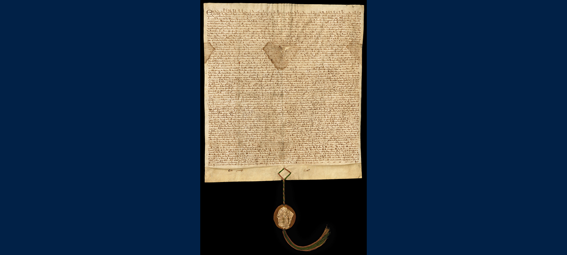 Magna Carta banner image