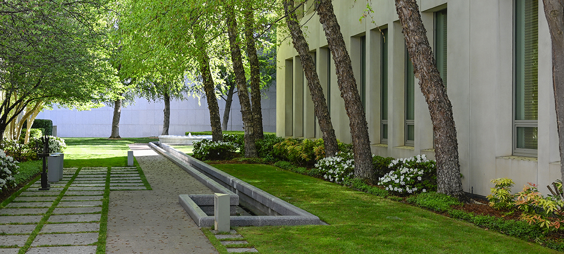 Gardens in Spring, 2023, courtesy Auspic, Department of Parliamentary Service