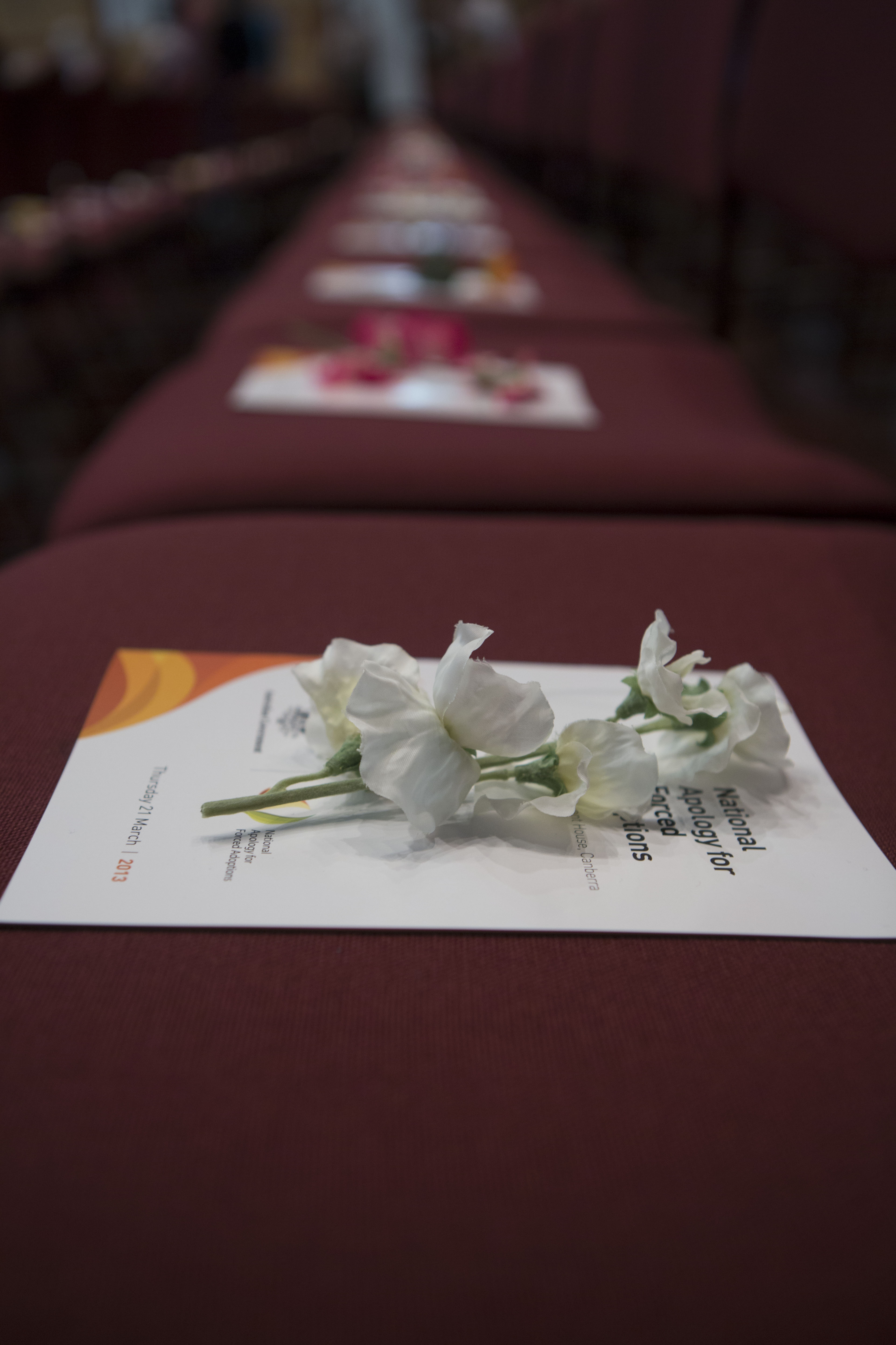 The National Apology for Forced Adoptions