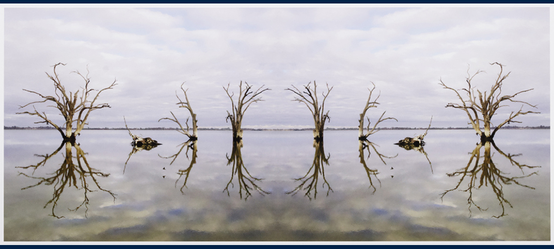 Oh my Murray Darling by Nici Cumpston