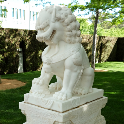 Chinese male lion in the Parliament House formal garden