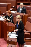 Fiona Nash addresses the Senate