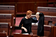 Pauline Hanson wears a burqa into Question Time
