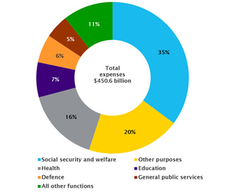 Expenses by function in 2016–17