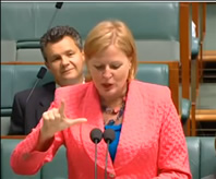 Julie Owens MP delivering her speech in Auslan