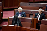 Senator Pauline Hanson wears a burqa into Question Time