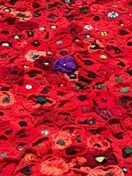 Poppies on the APH Forecourt