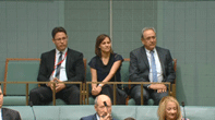 The Israeli Ambassador in the House of Representatives