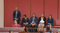 A delegation from the Cook Islands attends Senate question time