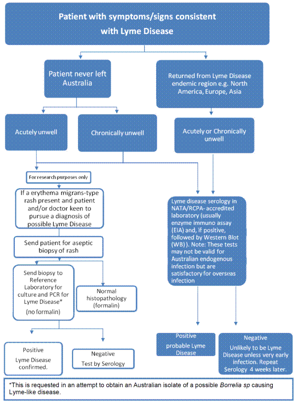 Figure 3.1 – Recommended protocol for laboratory testing of patients with suspected Lyme disease in Australia