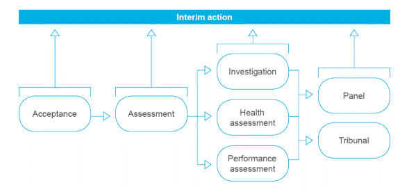 Figure 2.1 – AHPRA notification process