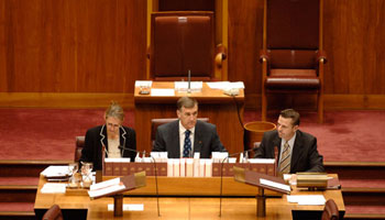 The Deputy President and Chairman of Committees seated at the table