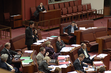 Senator Scott Ludlam